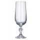 KLAUDIA / STERNA CHAMPAGNE GLASSES 200 ML
