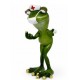 FIGURE OF THE FROG