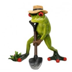 FIGURE OF THE FROG