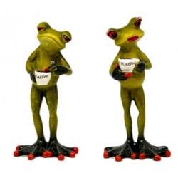 FIGURE OF THE FROG