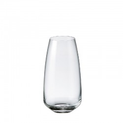 ALIZEE / ANSER GLASSES HIGH 550 ML