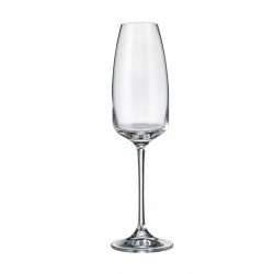 ALIZEE / ANSER GLASSES OF CHAMPAGNE&nbsp;290 ML