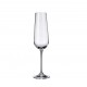 ARDEA / AMUNDSEN FLUTE 220 ML