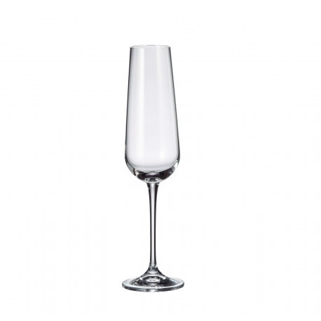 ARDEA / AMUNDSEN FLUTE 220 ML