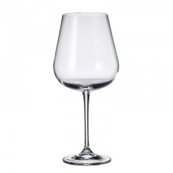 ARDEA / AMUNDSEN WINE GLASESS 670 ML