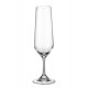 APUS GLASSES FLUTE 200 ML