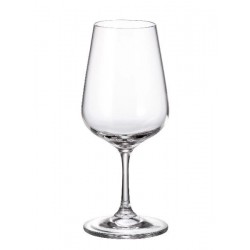 APUS GLASSES FLUTE 200 ML