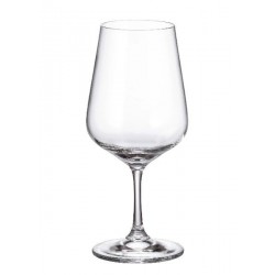 APUS GLASSES 450 ML