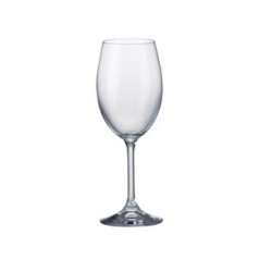 SYLVIA / KLARA KIELISZKI WINO 250 ML KOMPLET 6 SZT